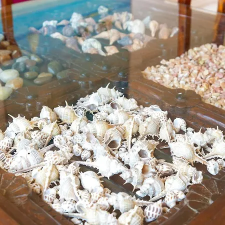 La Rosa Dei Venti Apartment